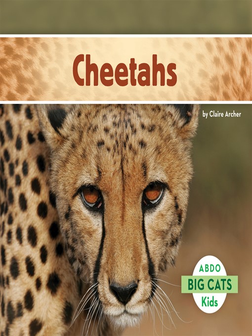 Title details for Cheetahs by Claire Archer - Available